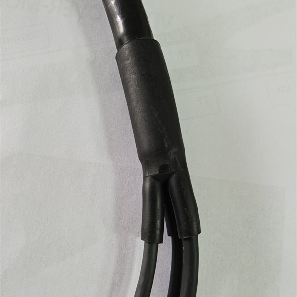 VITON over-mold wire Harness and cable assembly - CITCable